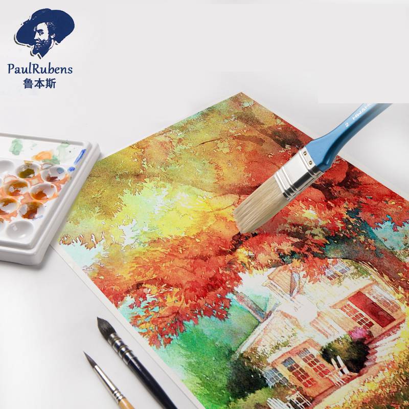 Paul Rubens Professional Water - огляд і ціна Photography Fine Art