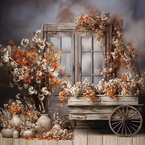 Mehofond Photography Backgroun - огляд і ціна Photography Background