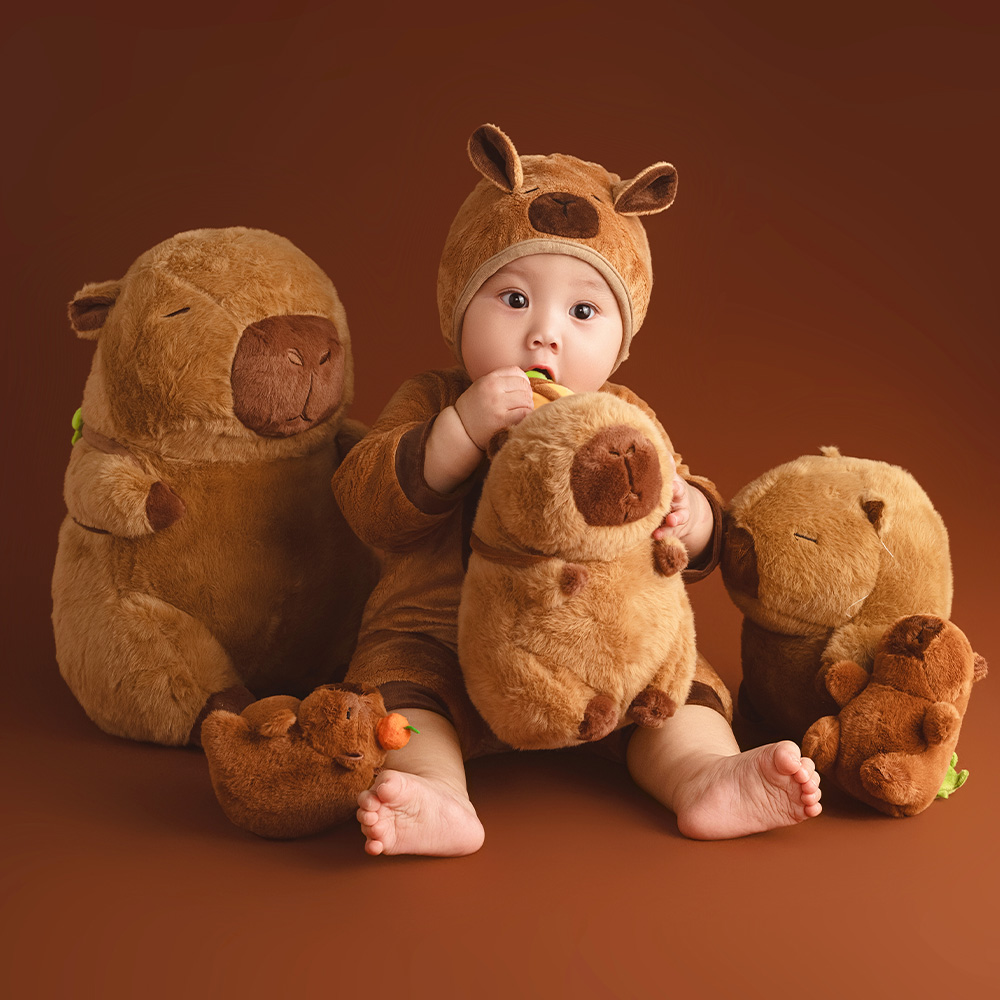 100 Days Baby Celebration Them - огляд і ціна Photography Day