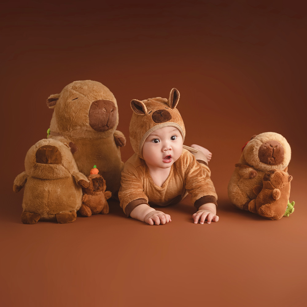 100 Days Baby Celebration Them - огляд і ціна Photography Day