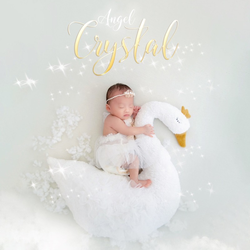 Newborn Photography Prop Swan  - огляд і ціна Photography Day
