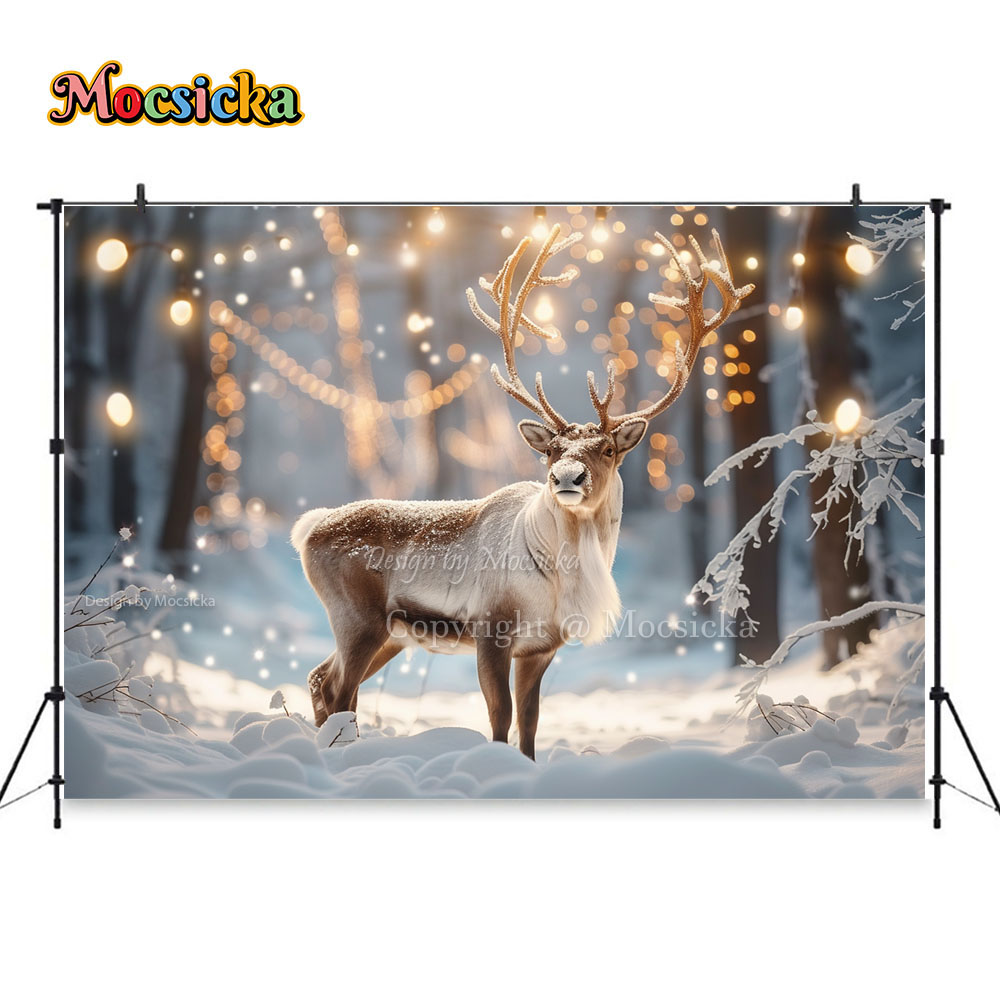 Winter Snow Scenes Photography - огляд і ціна Photography Natural Lighting