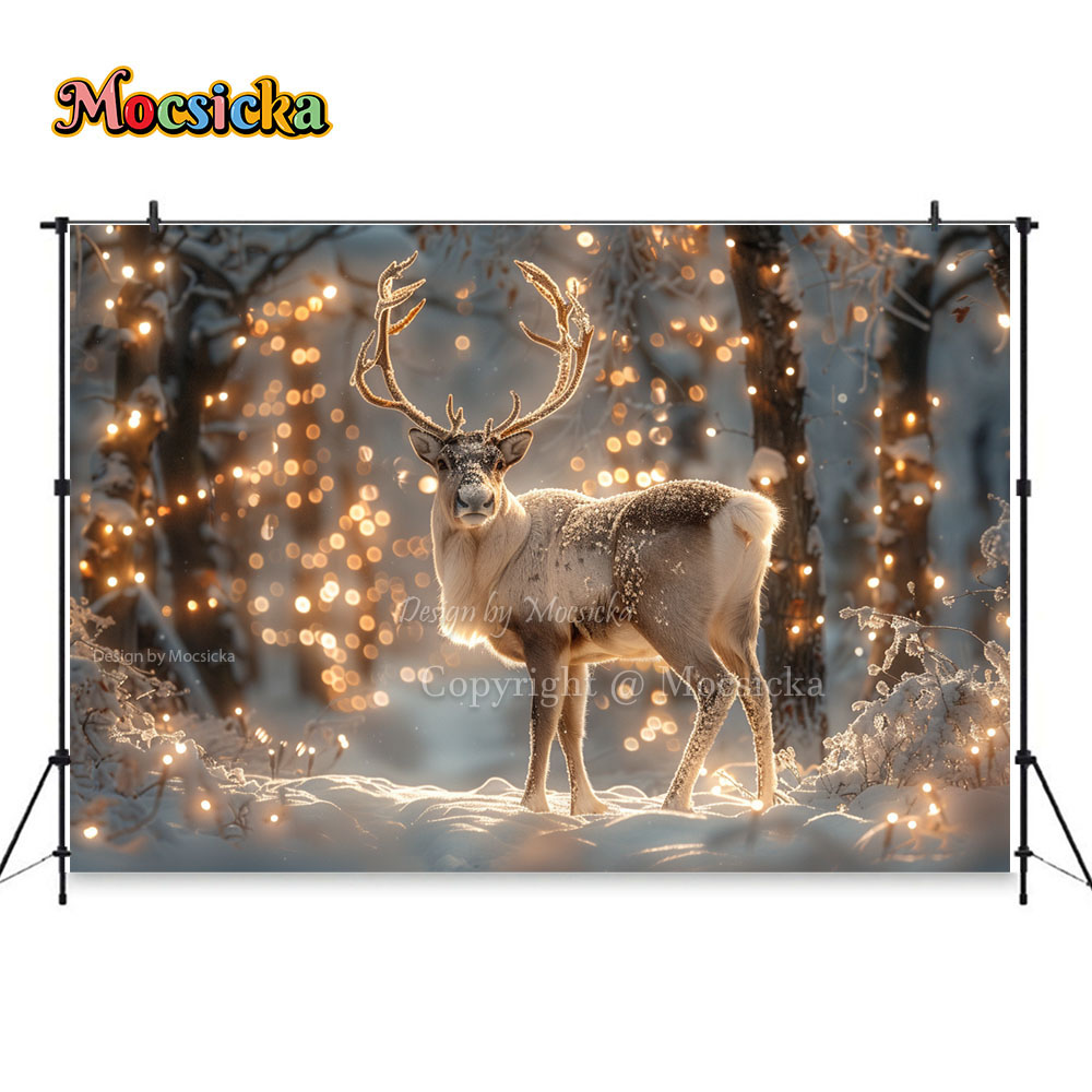 Winter Snow Scenes Photography - огляд і ціна Photography Natural Lighting