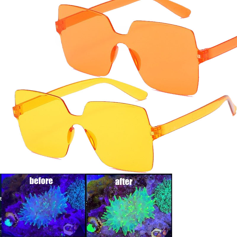 Coral Observation Glasses Cora - огляд і ціна Photography Natural Lighting