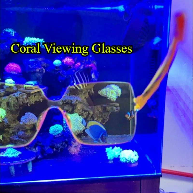 Coral Observation Glasses Cora - огляд і ціна Photography Natural Lighting