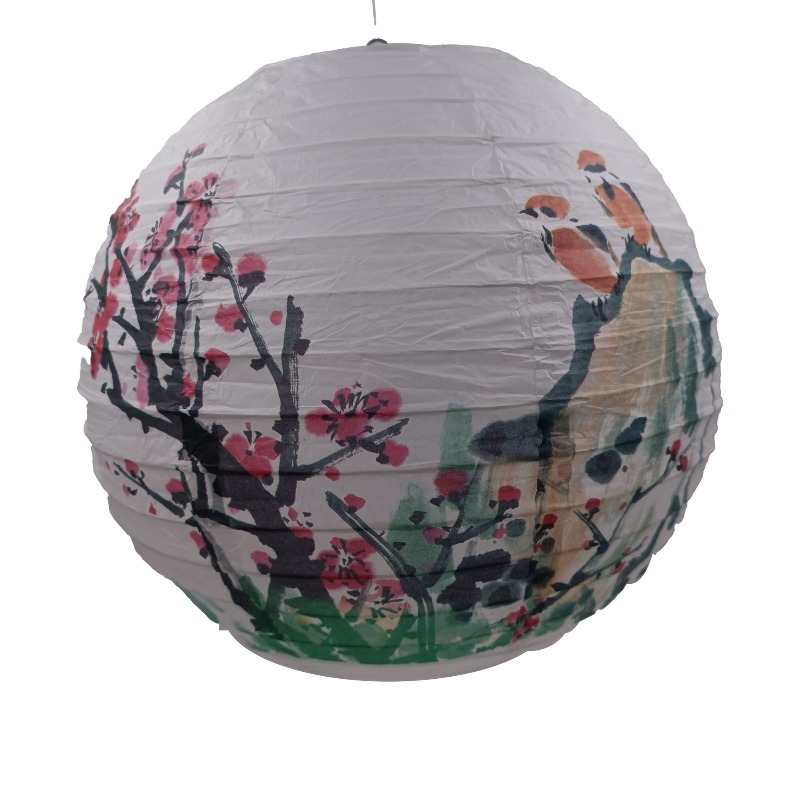 30cm Printed Paper Chinese Sty - огляд і ціна Photography Day